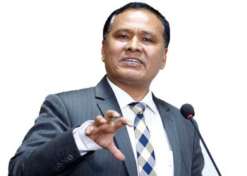 तीन महिनामा विद्युत प्राधिकरणको नाफा ८ अर्ब ५० करोड