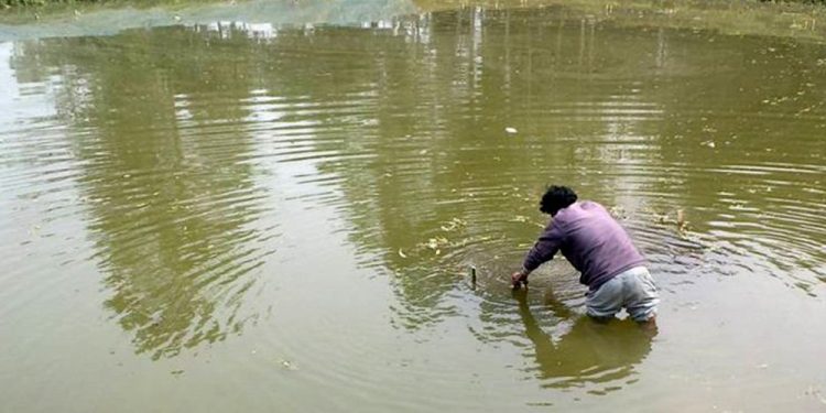 रामधुनी नगरपालिकाले सार्वजनिक पोखरीको संरक्षण गरि व्यवसायिक माछा पालन गर्ने