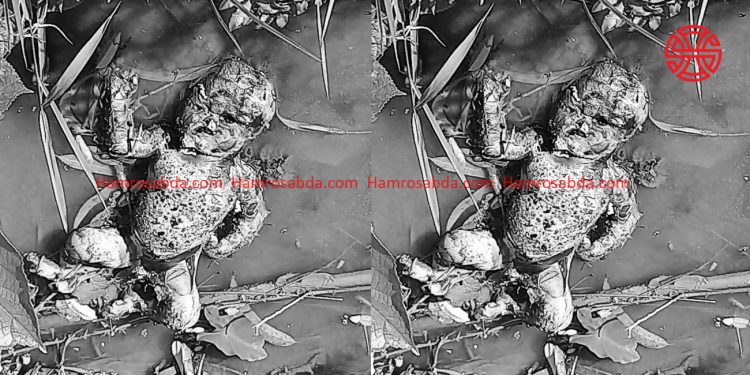 रामधुनीमा भेटियो नवजात शिशुको शव