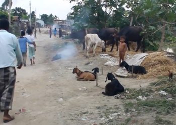 बत्तीमुनिको अँध्यारोमा सुनसरीको मुस्लिम बस्ती, छोराछोरी पढाउनै मुस्किल