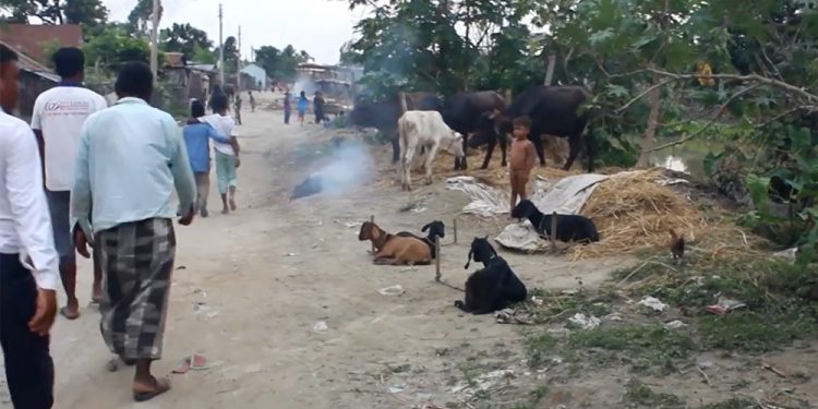 बत्तीमुनिको अँध्यारोमा सुनसरीको मुस्लिम बस्ती, छोराछोरी पढाउनै मुस्किल