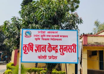 सुनसरीको ६४ प्रतिशत माटोमा अम्लीयपन, उर्वराशक्तिमा ह्रास आउँने चिन्ता