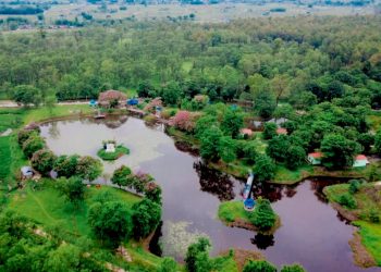 शिरीषको फूलले शंकरवेली सिमसारमा तान्यो भिडियो खिच्नेको मन