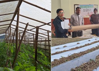 कृषिलाई आधुनिकीकरण गर्न वडाको पहल : टनेल, प्लास्टिक मल्चिङ र विषादी छर्ने स्प्रे वितरण