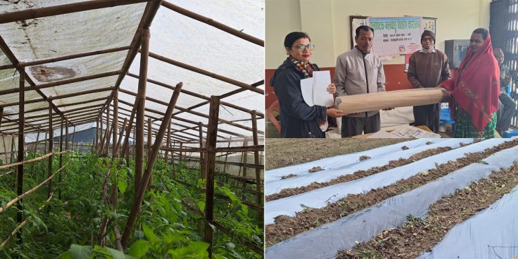 कृषिलाई आधुनिकीकरण गर्न वडाको पहल : टनेल, प्लास्टिक मल्चिङ र विषादी छर्ने स्प्रे वितरण