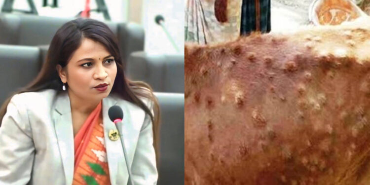 कोशी प्रदेशका १० जिल्लामा लम्पी स्किन रोगको संक्रमण, सांसदद्वारा प्रदेश सरकारको ध्यानाकर्षण